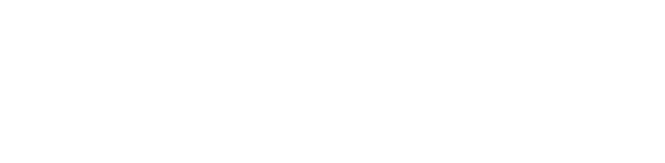 ویزیتال