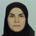 دکتر رضوان میرزائی فلوشیپ جراحی روده بزرگ (جراحی کولورکتال)