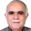 دکتر سید محمدتقی هاشمیان