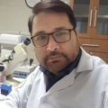 صادق شکوری
