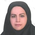 صدف صدر