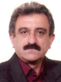 دکتر میررسول سیدمهدی زاده