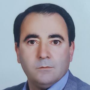 دکتر محمدعلی محمدی آغجه قلعه